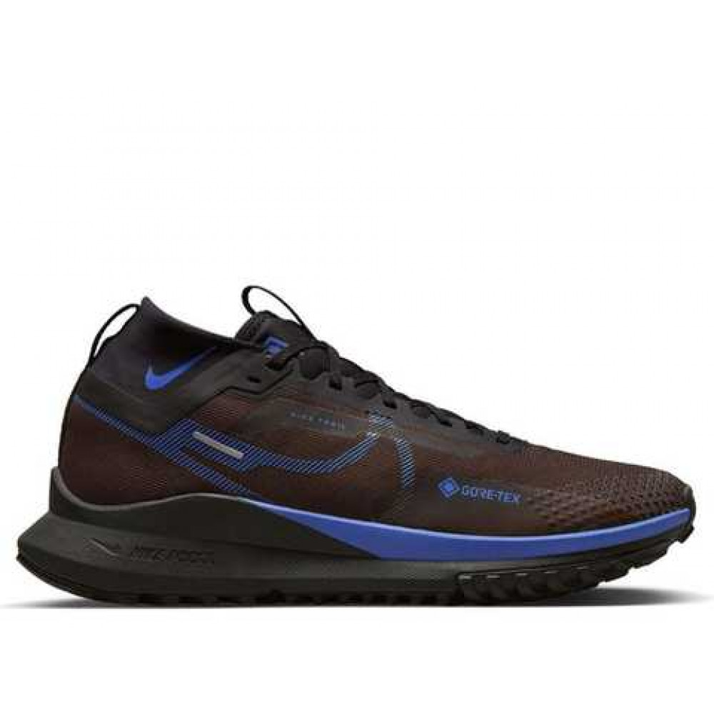 Кросівки Nike Pegasus React Trail 4 Gore-Tex FB2193 200