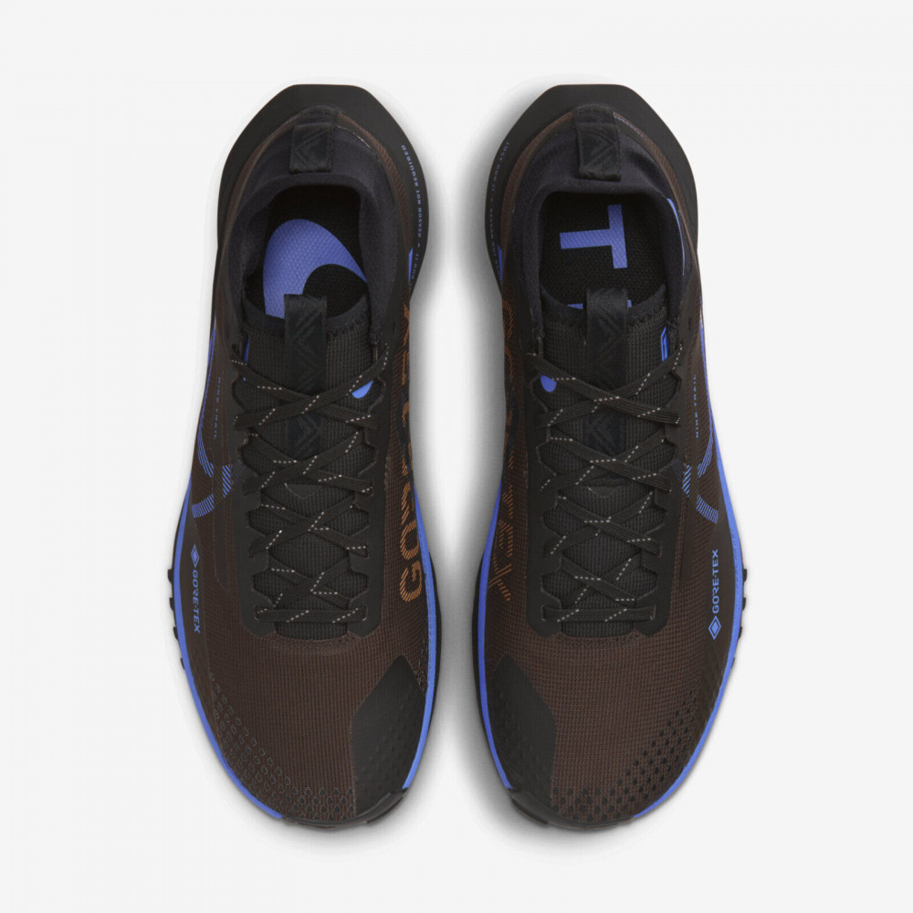 Кросівки Nike Pegasus React Trail 4 Gore-Tex FB2193 200