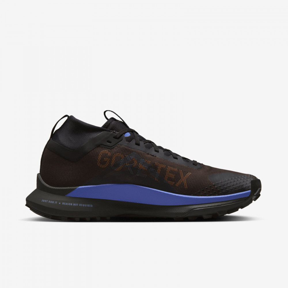 Кросівки Nike Pegasus React Trail 4 Gore-Tex FB2193 200