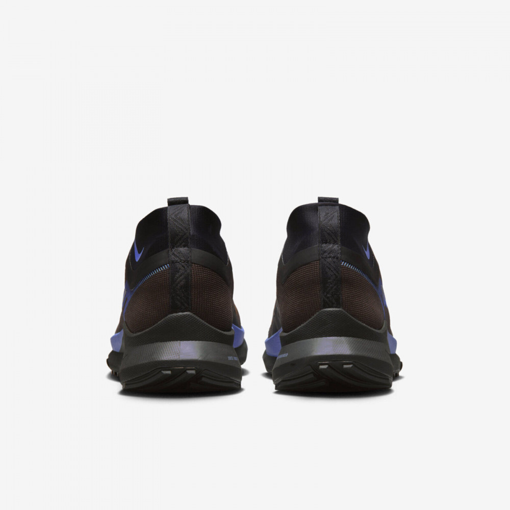 Кросівки Nike Pegasus React Trail 4 Gore-Tex FB2193 200