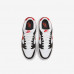 Кросівки Nike Dunk Low Retro FB3354 001