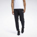 Штани Reebok Workout Ready FJ4060