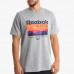 Футболка Reebok Classic Trail FM5027