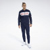 Костюм Reebok Te Linear Logo FP8155