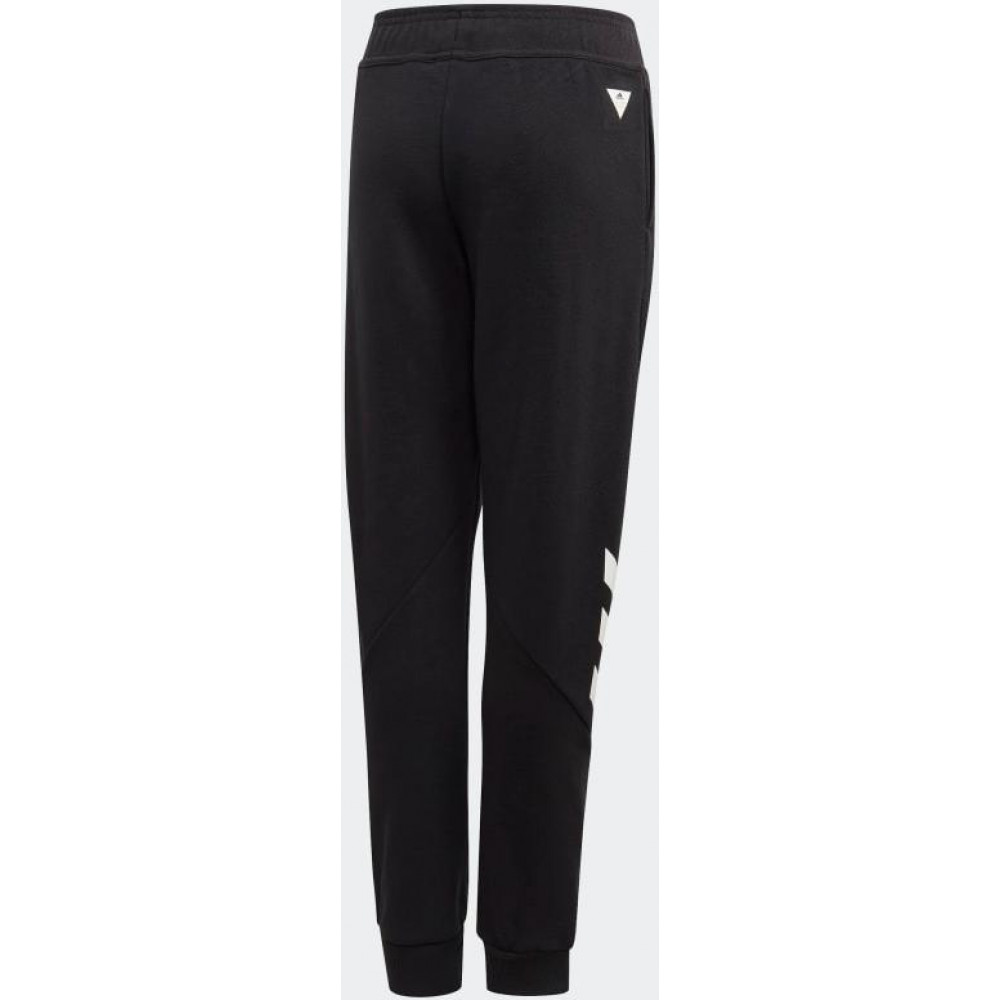Штани Adidas XFG FS5084