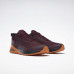 Кросівки Reebok Trail Cruiser GTX FU8518