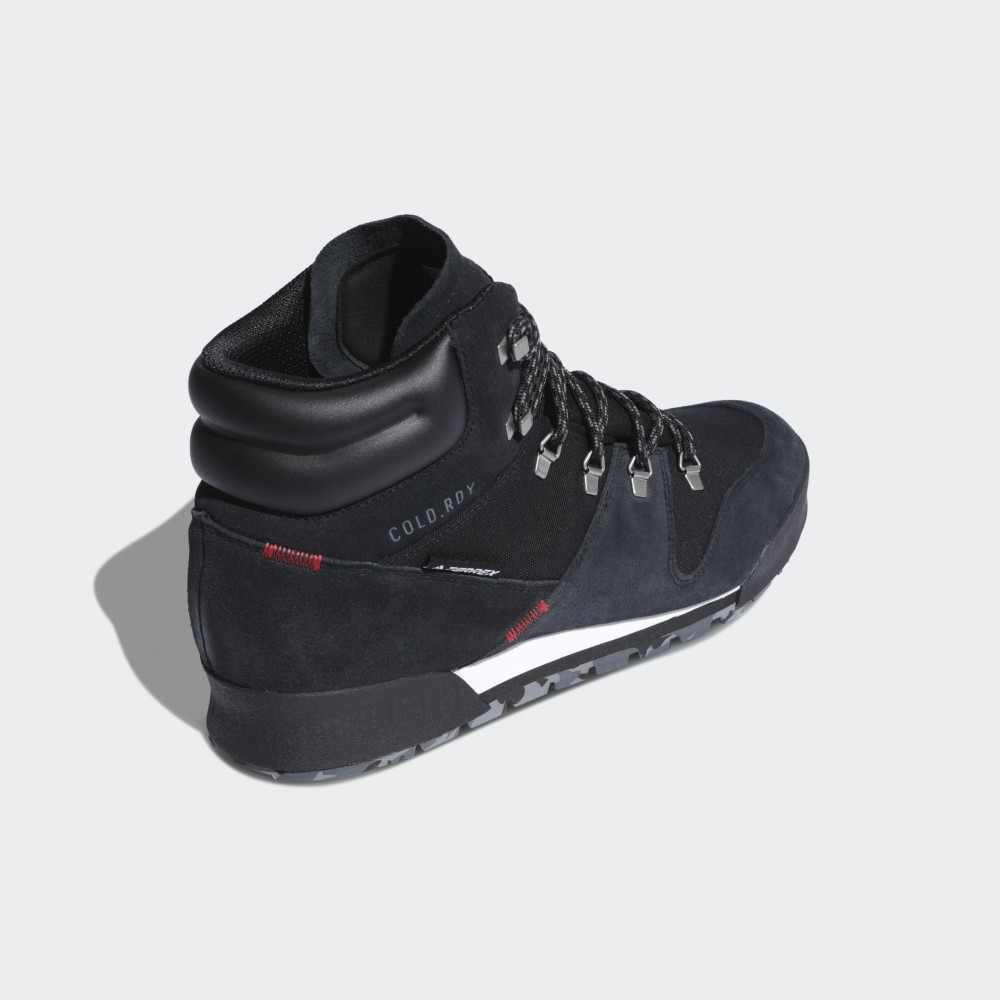 Черевики Adidas Terrex SNOWPITH Cold RDY FV7957