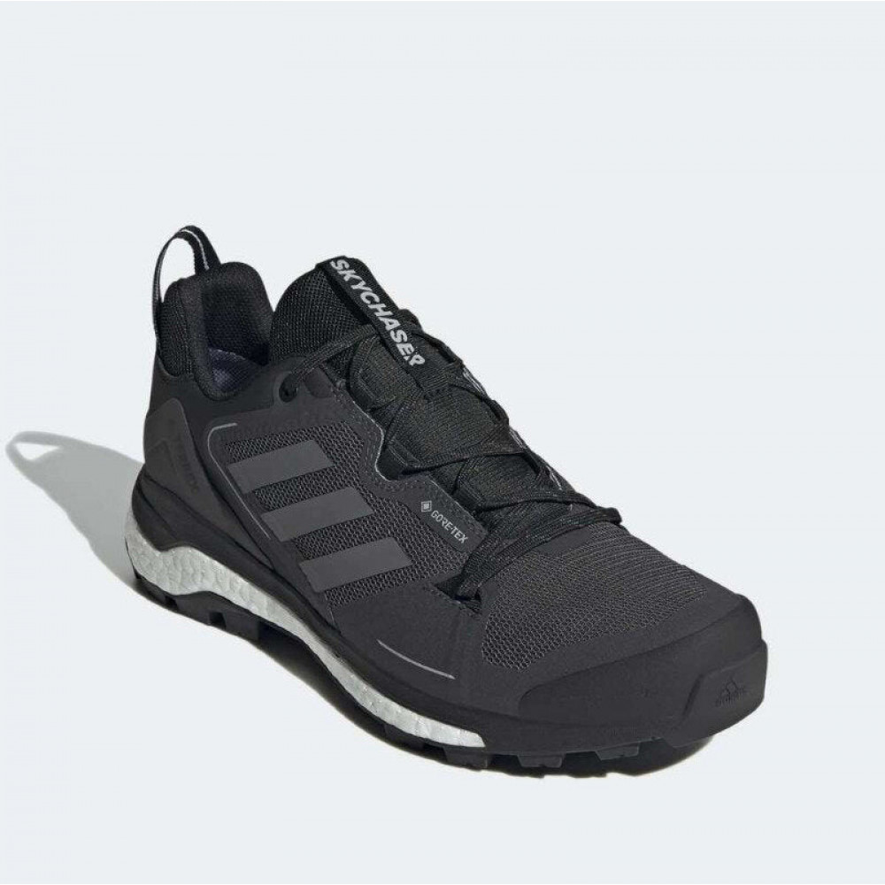 Кросівки Adidas Terrex Skychaser 2 GTX
