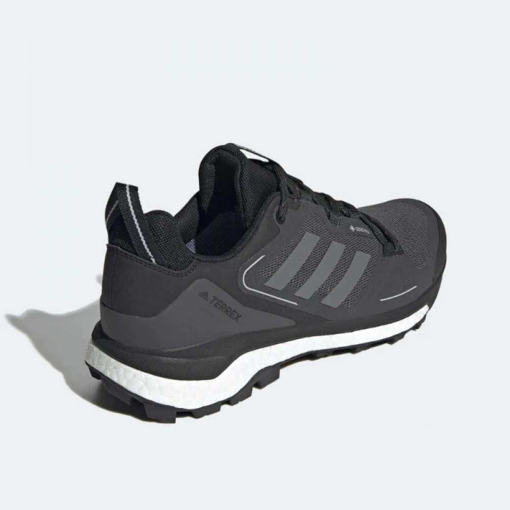 Кросівки Adidas Terrex Skychaser 2 GTX