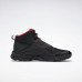 Черевики Reebok Trail Chaser FY4444
