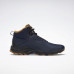 Черевики Reebok Trail Chaser FY4444