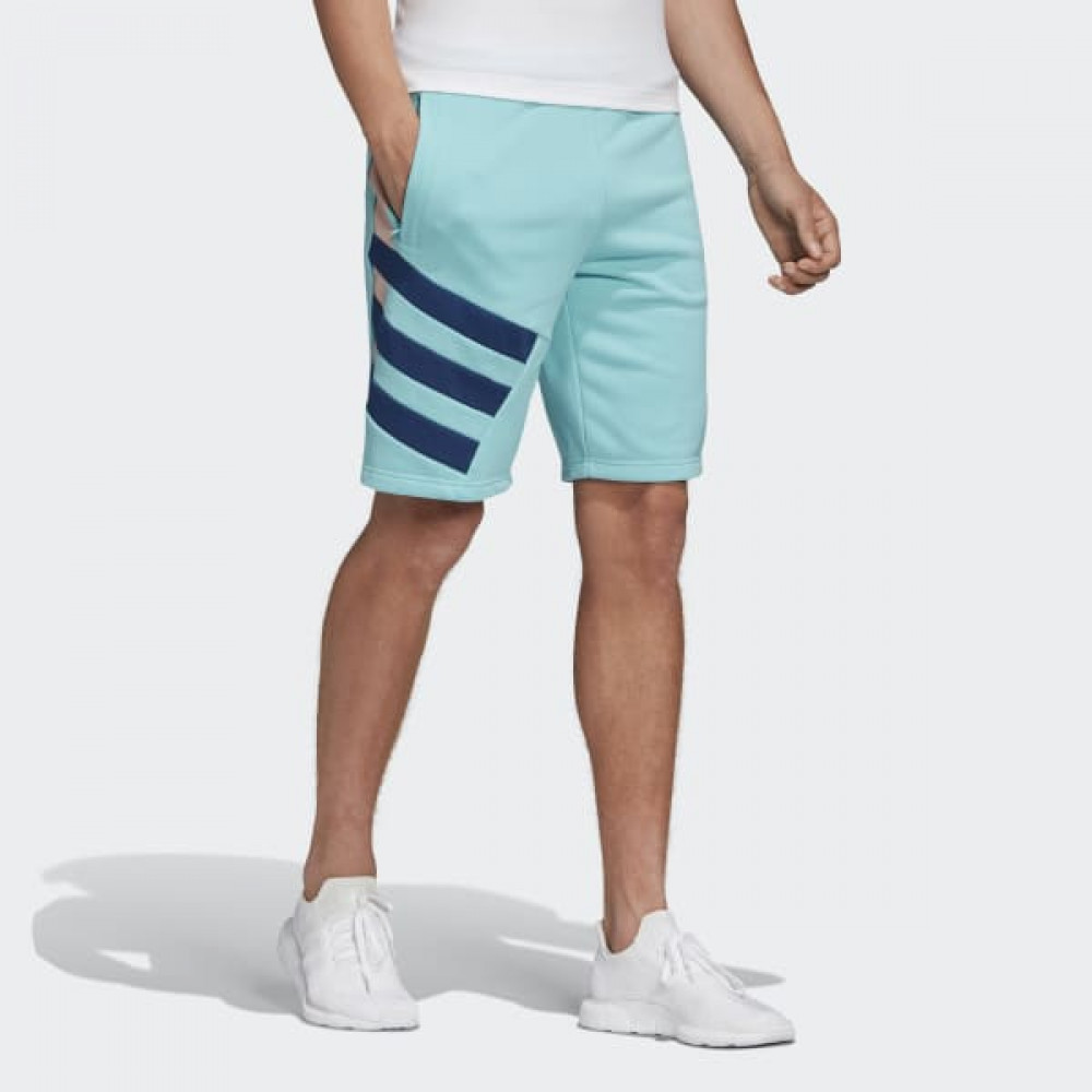 Шорти Adidas Sportive Nineties FN2833