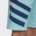 Шорти Adidas Sportive Nineties FN2833
