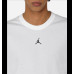 Футболка чоловіча Air Jordan Dri Fit FN5829 100