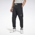 Штани чоловічі Reebok MYT Woven Jogger GT5785