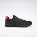 Кросівки Reebok Ridgerider 6 GTX GW1197