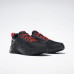 Кросівки Reebok Ridgerider 6 GTX GW1197