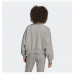 Костюм Adidas Originals Adicolor HF7478/HF7473