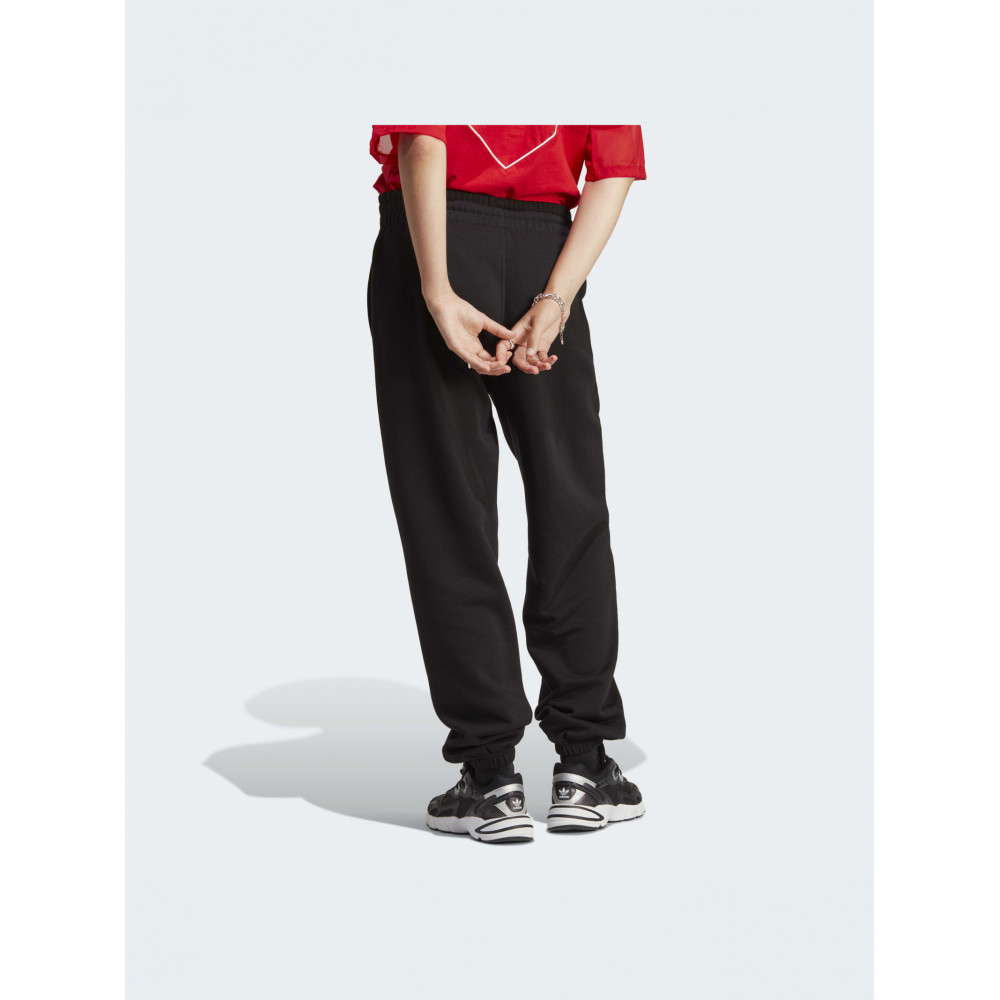 Штани Adidas Adicolor IA6437