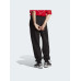 Штани Adidas Adicolor IA6437