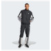 Косюм Adidas Sportwear Colorblock IP1611