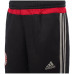 Штани Adidas AC Milan Training S87974