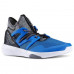 Кросівки Reebok Dance Hayasu V68052