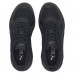 Puma X-Ray